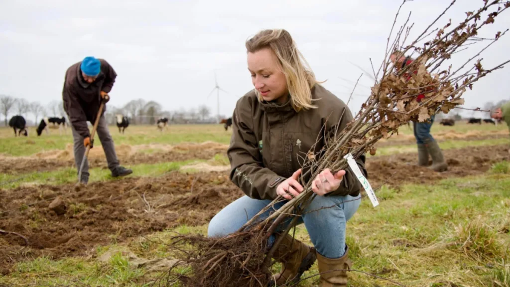 Boomdeeldagen Zwolle: korting op bomen en planten Boomdeeldagen Zwolle: korting op bomen en planten