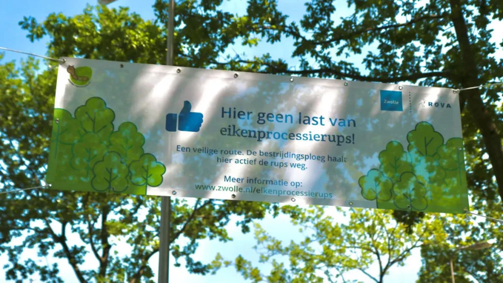 Zwolle bestrijdt processierups voor halve marathon Zwolle bestrijdt processierups voor halve marathon